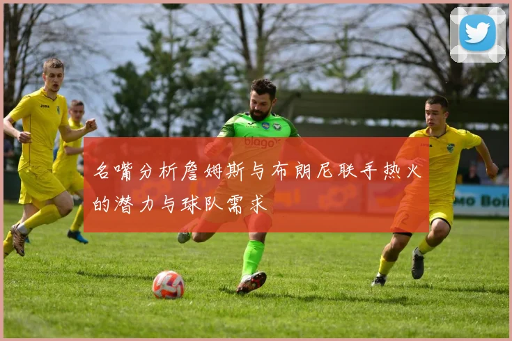 名嘴分析詹姆斯与布朗尼联手热火的潜力与球队需求