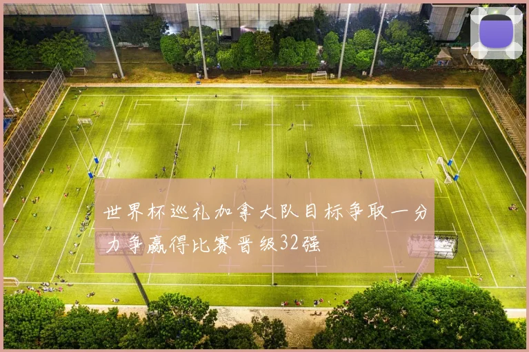 世界杯巡礼加拿大队目标争取一分力争赢得比赛晋级32强
