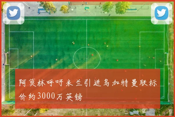 阿莫林呼吁米兰引进乌加特曼联标价约3000万英镑