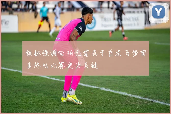 铁林强调哈珀无需急于首发马努曾言终结比赛更为关键