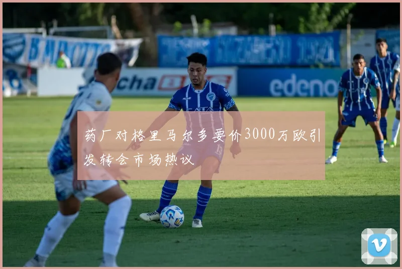 药厂对格里马尔多要价3000万欧引发转会市场热议