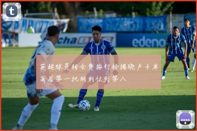 英超球员转会费排行榜揭晓卢卡库高居第一托纳利位列第八
